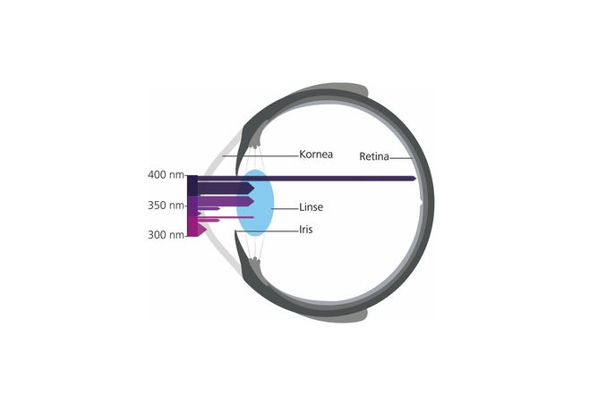 UV-Strahlung