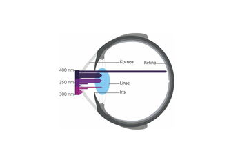 UV-Strahlung